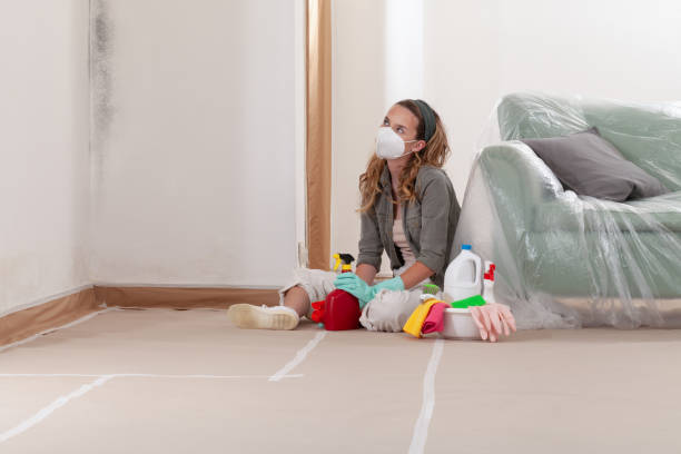 Reliable Attic Mold Remediation contractor in Glenn Dale, MD by 24 Hour Mold Removal