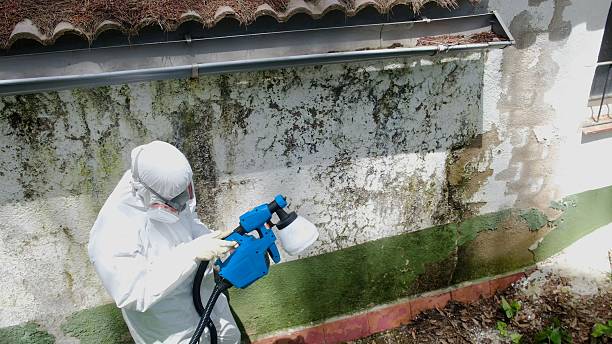 Top rated local Attic Mold Remediation specialists in Glenn Dale, MD